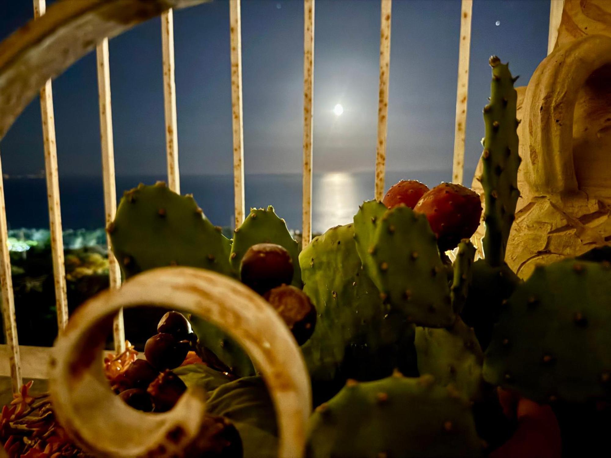 Terrazza D'Amuri Santa Caterina Acireale Dış mekan fotoğraf